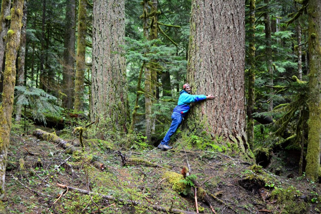 benefits of hugging a tree, man hugs tree